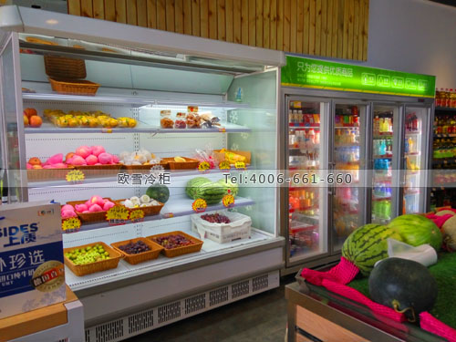 B603湖南省長(zhǎng)沙市寧鄉(xiāng)星維生活超市冰柜
