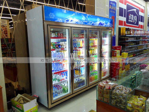 B677四川省遂寧市船山區(qū)鄰家19生活超市冰柜