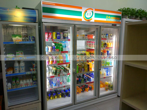 B718天津市南開區(qū)綠源優(yōu)品生活超市冷柜