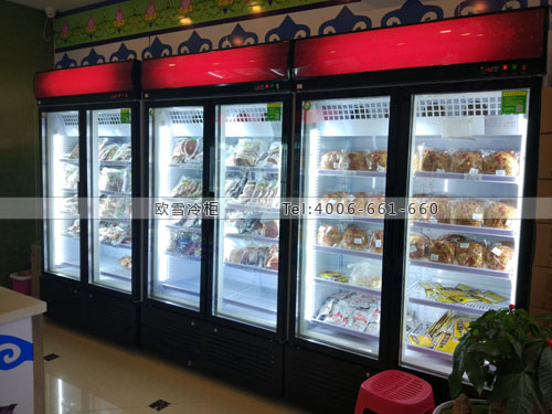 B717天津市河東區(qū)賽罕滿順立式冷凍展示柜