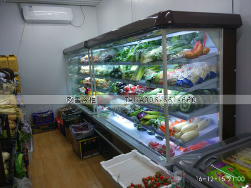 B714北京市朝陽區(qū)特利客超市冷柜