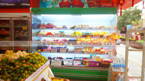 B793廣東省廣州市荔灣區(qū)喜佳福百貨冷柜