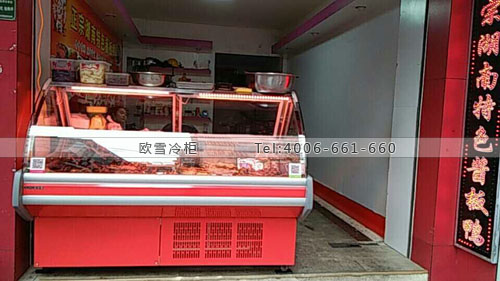 B769廣東省汕頭市龍湖區(qū)湖南醬板鴨保鮮展示柜