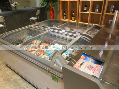B840重慶市渝北區(qū)左村三文魚海鮮超市冷柜