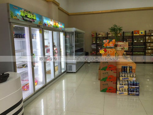 B785湖北省武漢市江夏區(qū)水果農(nóng)產(chǎn)品超市冷柜