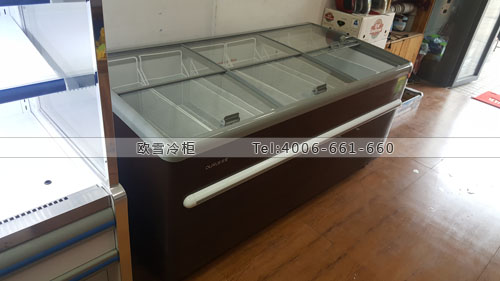 B743江蘇省南京市棲霞區(qū)柒天水果店臥式低溫冷凍柜
