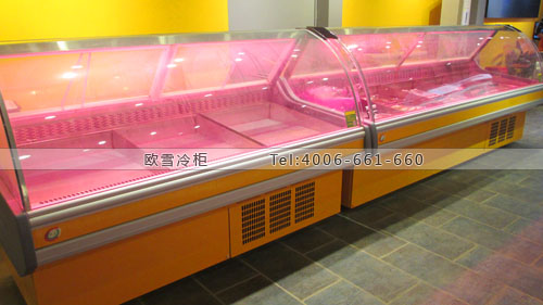 B740廣西省南寧市魔鬼魚(yú)店保鮮展示柜