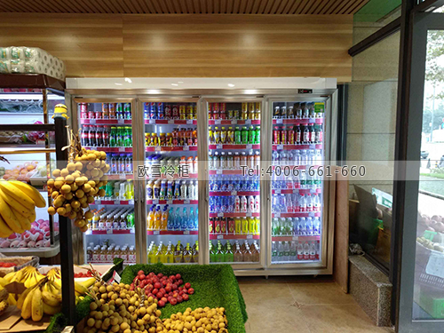 B908四川省成都市武侯區(qū)果樂鮮水果保鮮柜