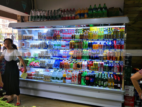 B868湖南省長沙市岳麓區(qū)灃凌生鮮超市冷柜