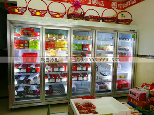 B791廣東省惠州市淡水鎮(zhèn)優(yōu)滋良水果店保鮮柜