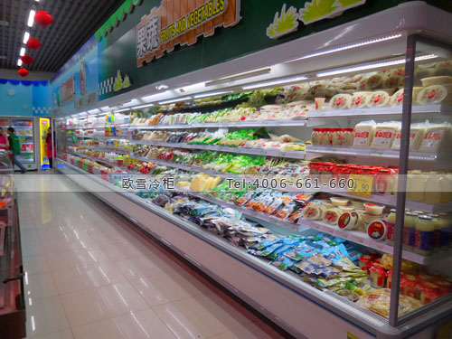 B758湖北省荊州洪湖市隆科多超市冷柜
