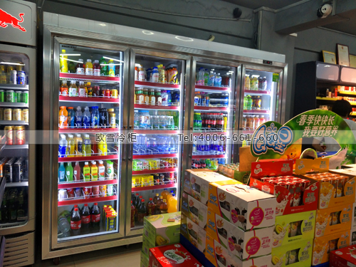 B820福建省廈門市海滄區(qū)樂來(lái)購(gòu)連鎖超市冷柜