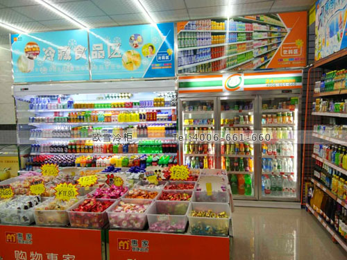 B766廣西省賀州市惠家便捷超市冷柜