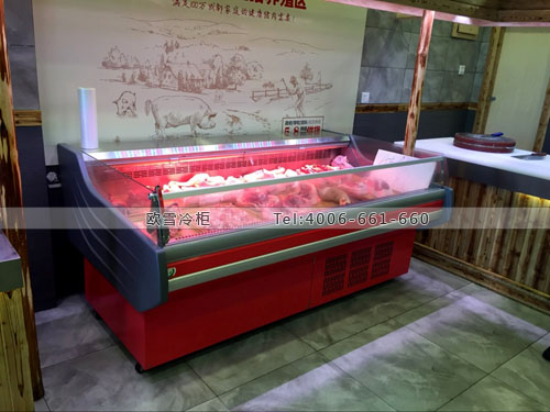 B800四川省成都市青羊區(qū)琪金土豬肉冷藏展示柜
