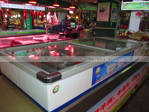 D023廣東省東莞市樟木頭市場牛當鮮臥式冰柜