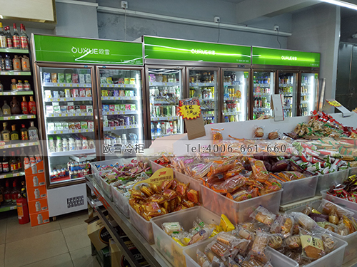 B933廣東省東莞市東城區(qū)樂點(diǎn)生活超市冷柜