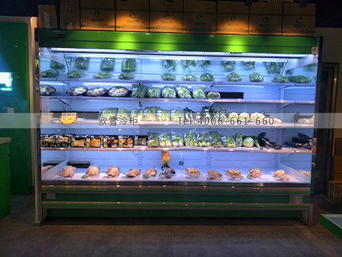 B920福建省廈門(mén)市思明區(qū)綠色1號(hào)超市冷柜