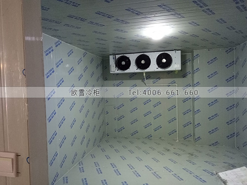 B959廣東省中山市南區(qū)食德現(xiàn)代生鮮超市冷柜