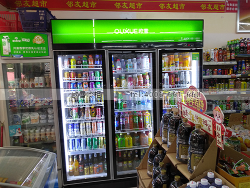 B934四川省成都市錦江區(qū)華友超市冷藏展示柜