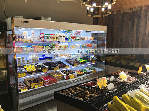 B989安徽省天長市Four Seasons果品保鮮冷柜