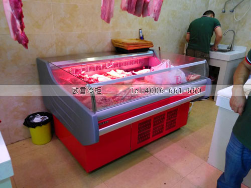 B936四川省成都市成華區(qū)林記肉鋪冷藏展示柜