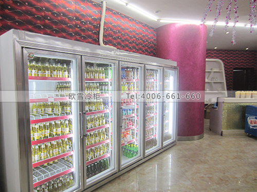 C039海南三亞奧斯卡KTV冰柜冷藏展示柜