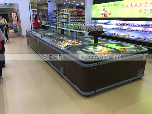 B980河北省保定市安新縣新華超市冷柜