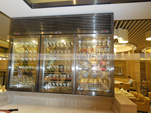 E082重慶渝中區(qū)新食膳紅酒冷藏展示柜