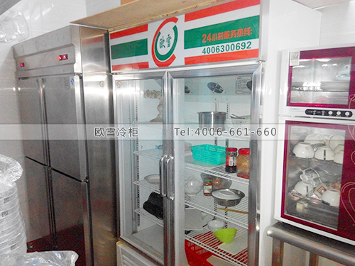 E098湖南長沙九號優(yōu)品不銹鋼冷柜