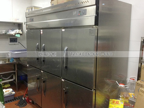 E037湖南長(zhǎng)沙BROOKLYN FELLAS雙門(mén)廚房冷柜冰柜