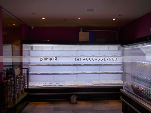 E107福建省廈門市思明區(qū)巴串騷餐廳飲料冰柜