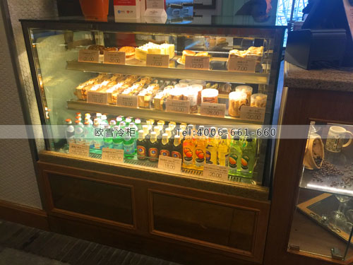 E110上海市徐匯區(qū)德大西餐披薩冰柜