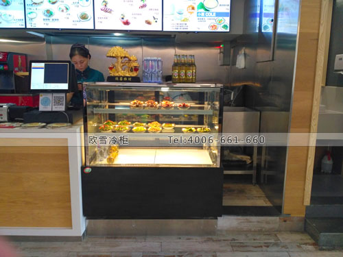 E111北京市大興區(qū)陜客肉夾饃保鮮展示柜