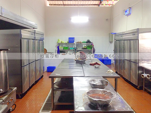 E058東莞塘廈田心火鍋城冷柜冰