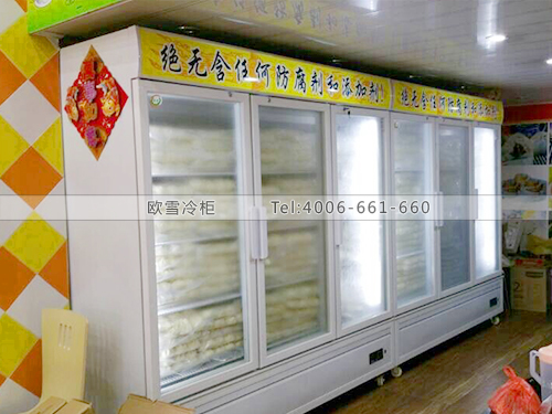 E056福建泉州包大福包子店冷柜冰柜