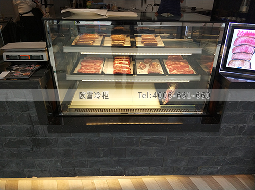E170安徽省蕪湖市鏡湖區(qū)LOK牛排保鮮展示柜