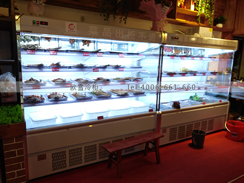 E167四川省成都市武侯區(qū)小郡肝銅罐串串冷柜