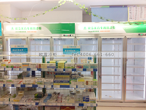 H021湖南長沙某藥房冷柜冰柜