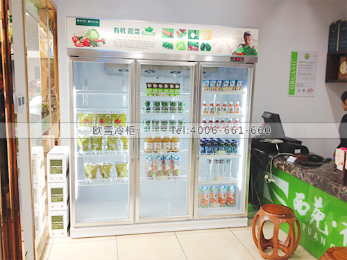 G026湖南省株洲市西苑有機食品冷藏柜