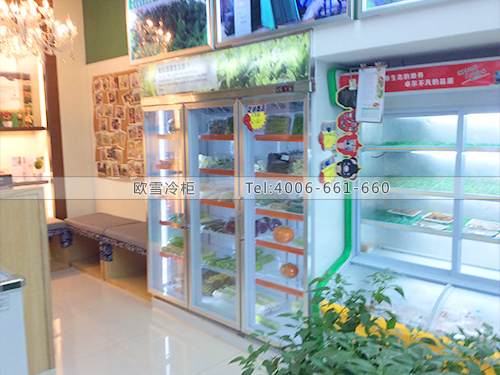 G032湖南長(zhǎng)沙博野有機(jī)農(nóng)業(yè)冷柜冰柜