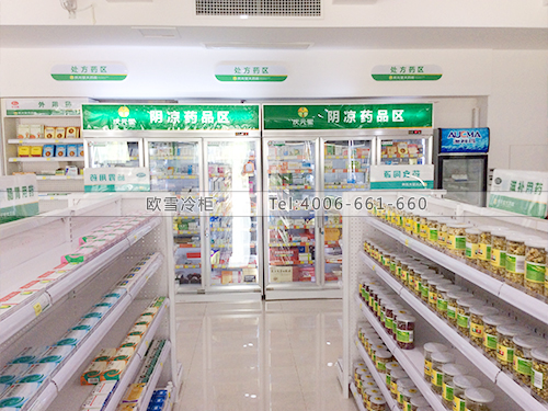 H029湖南長沙某大藥房冷柜冰柜