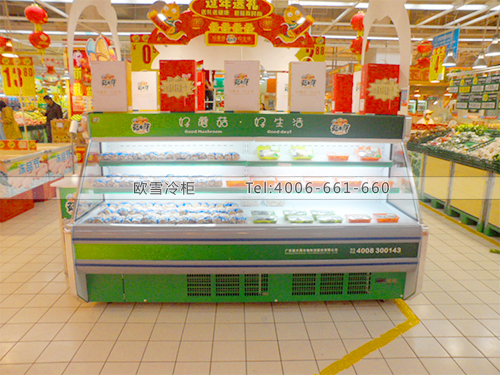 G018東莞南城家樂福菇木真食品冷藏展示柜
