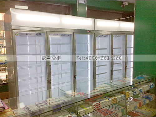 H017湖南郴州某大藥房冷柜冰柜