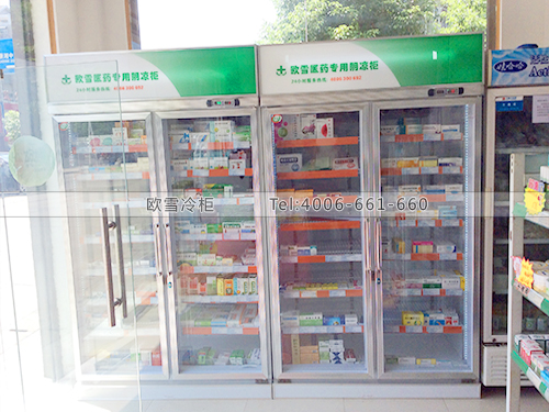 H030湖南長沙某大藥房冷柜冰柜