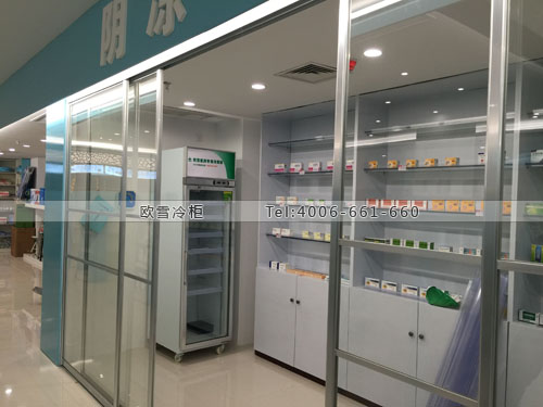 H064湖北省武漢市江夏區(qū)便民藥房冷藏柜