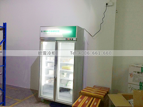 H043深圳龍崗振華堂藥業(yè)冷柜