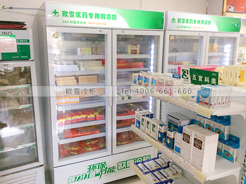 H033湖南長沙某大藥房冷柜冰柜