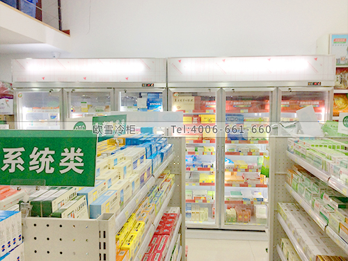 H035湖南長沙某大藥房冷柜冰柜
