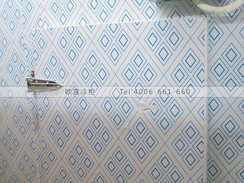 I061廣西百色飛歌純K冷藏庫