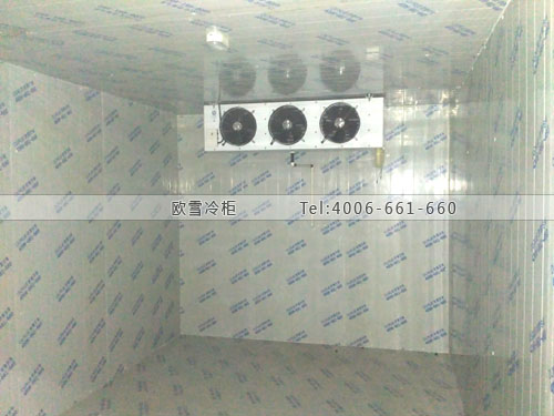 I098河北省保定市唐縣電商服務(wù)中心小型冷庫